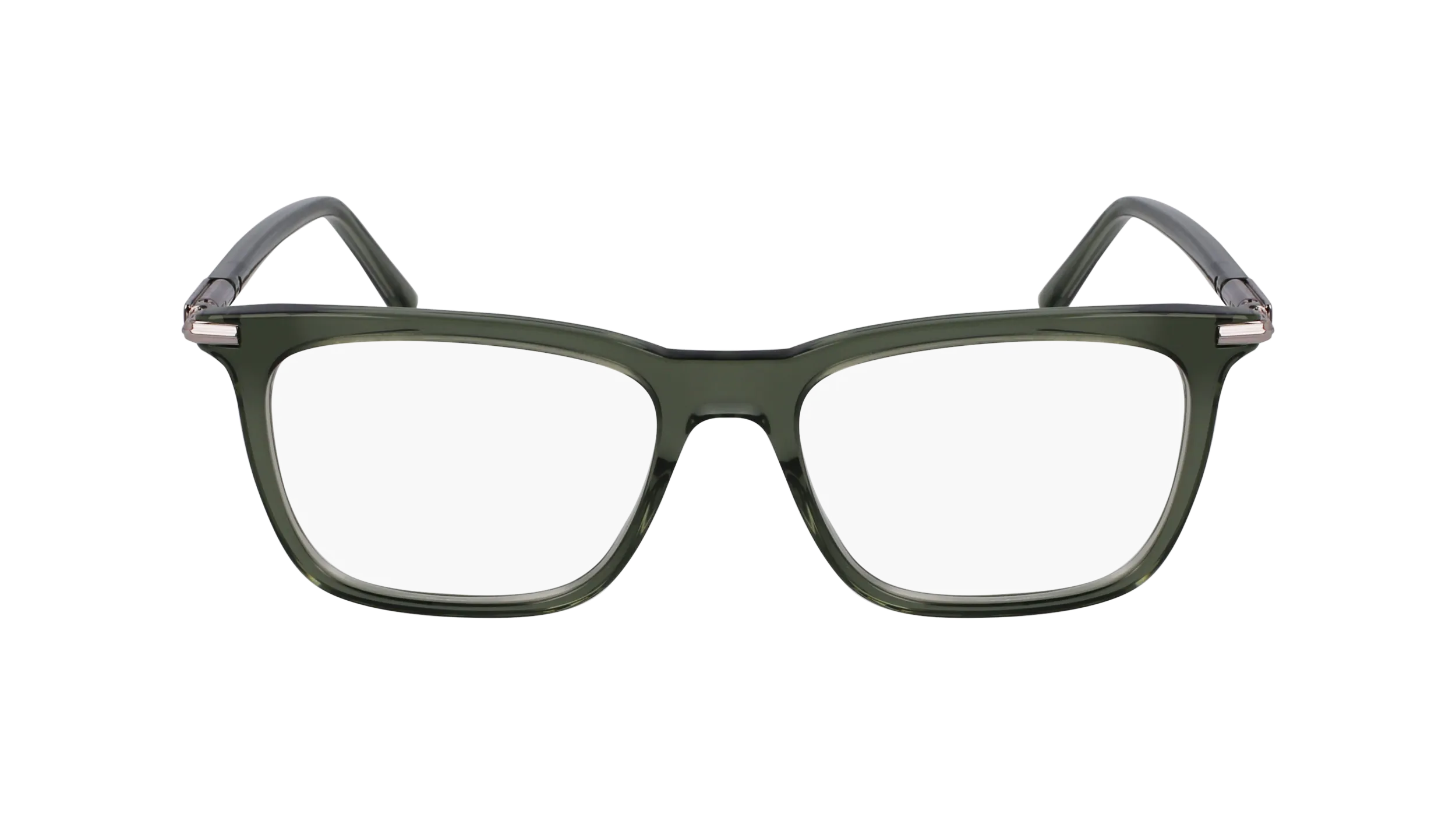 Ferragamo SF3007 317