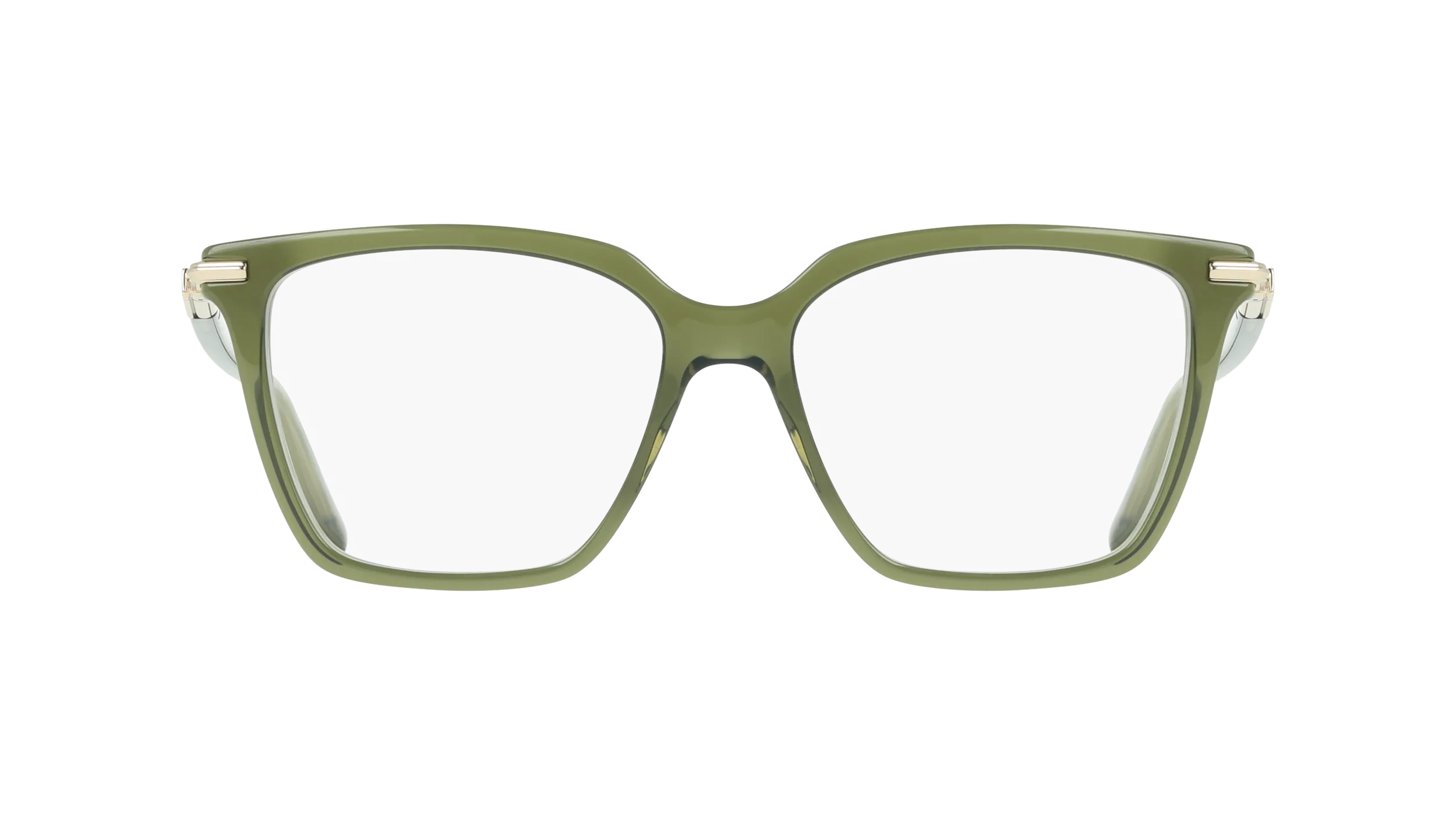 Ferragamo SF3038 317