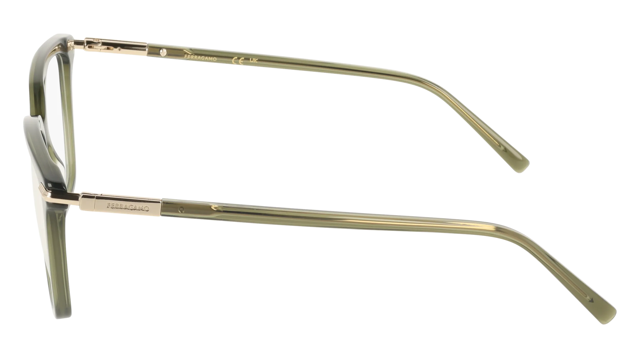Ferragamo SF3038 317