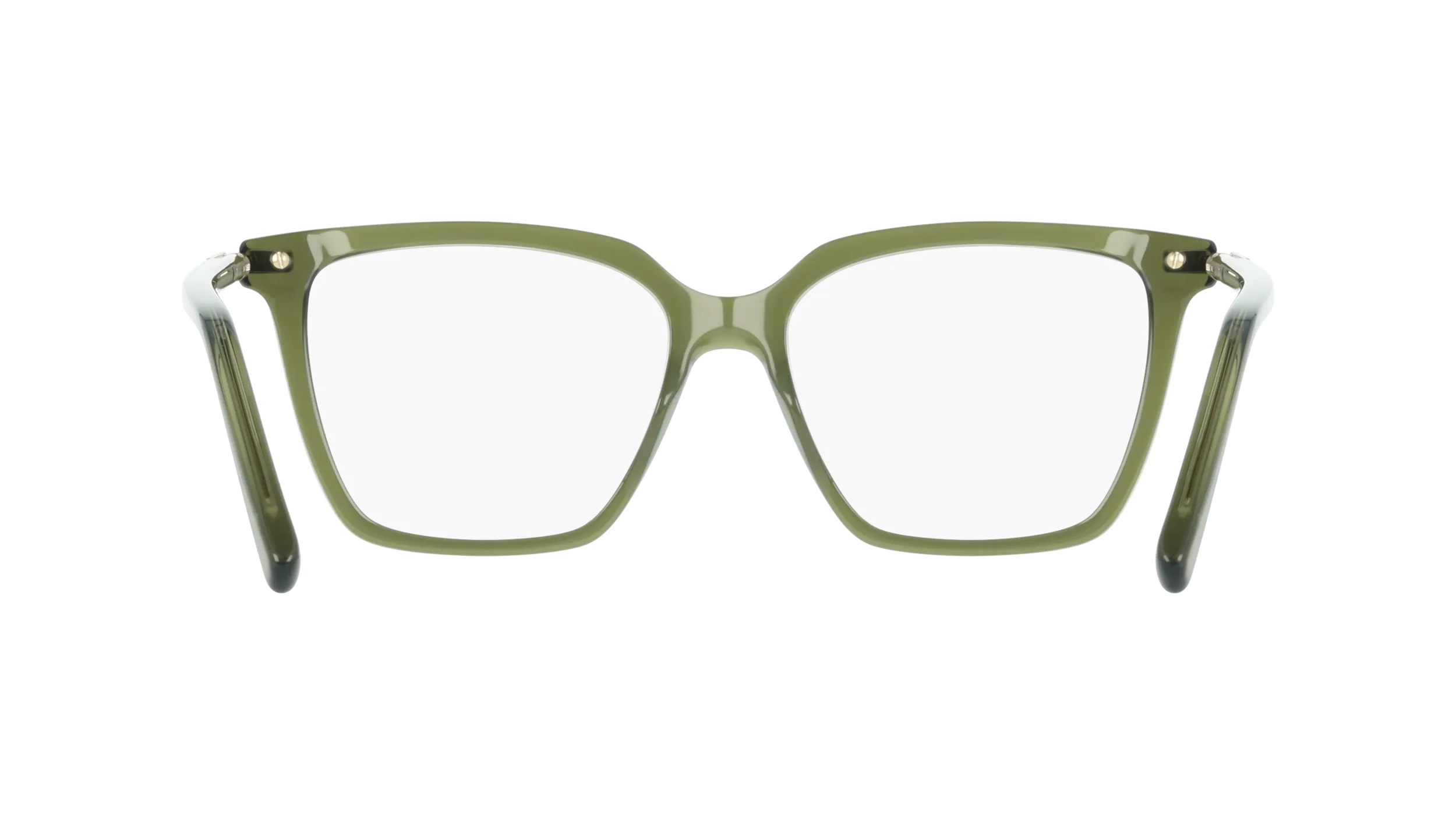 Ferragamo SF3038 317