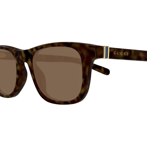 Gucci GG1671S 006