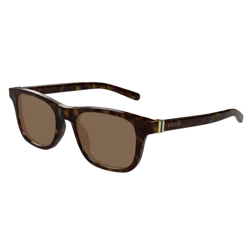 Gucci GG1671S 006