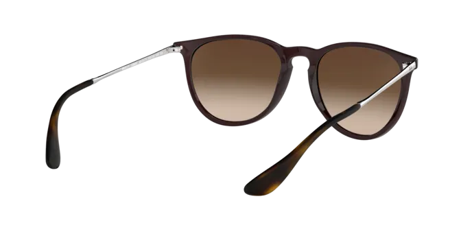 Ray-Ban Erika RB4171 631513
