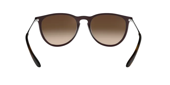 Ray-Ban Erika RB4171 631513