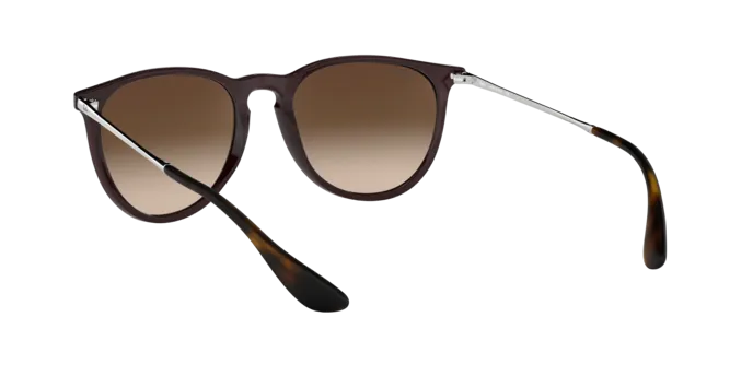 Ray-Ban Erika RB4171 631513
