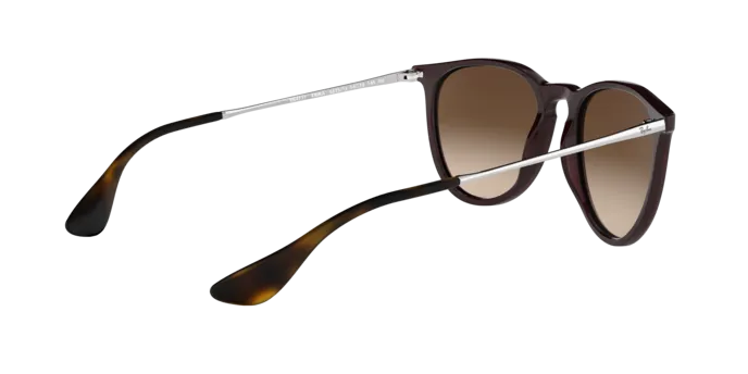 Ray-Ban Erika RB4171 631513