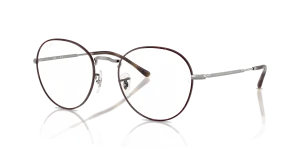 RayBan DAVID OPTICS