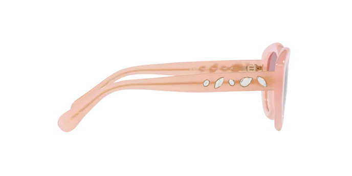 Swarovski SK6005 102568
