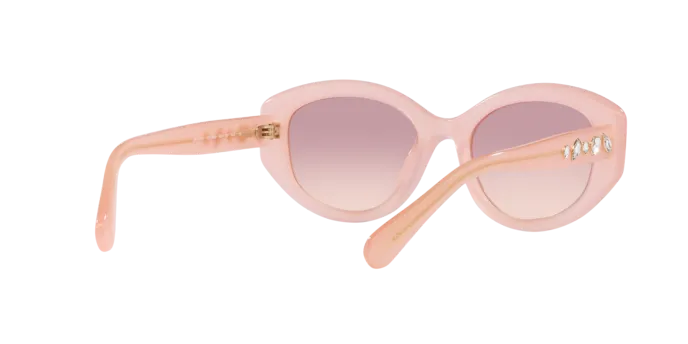 Swarovski SK6005 102568