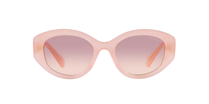 Swarovski SK6005 102568