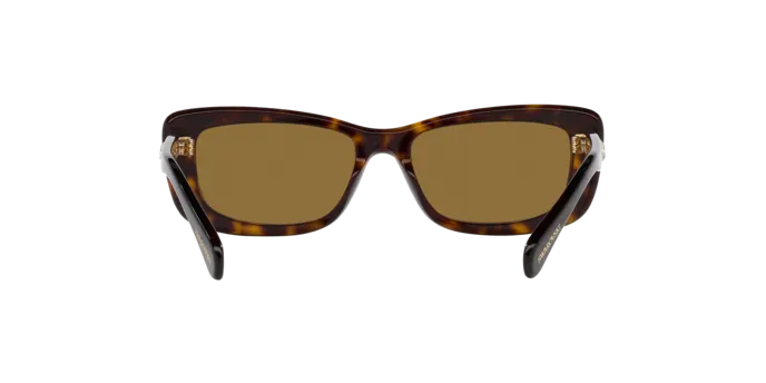 Swarovski SK6008 100273