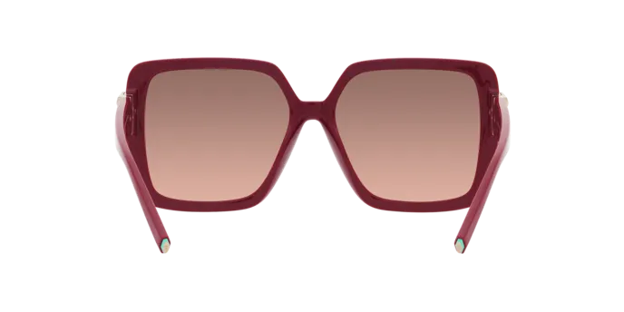 Tiffany TF4206U 836613